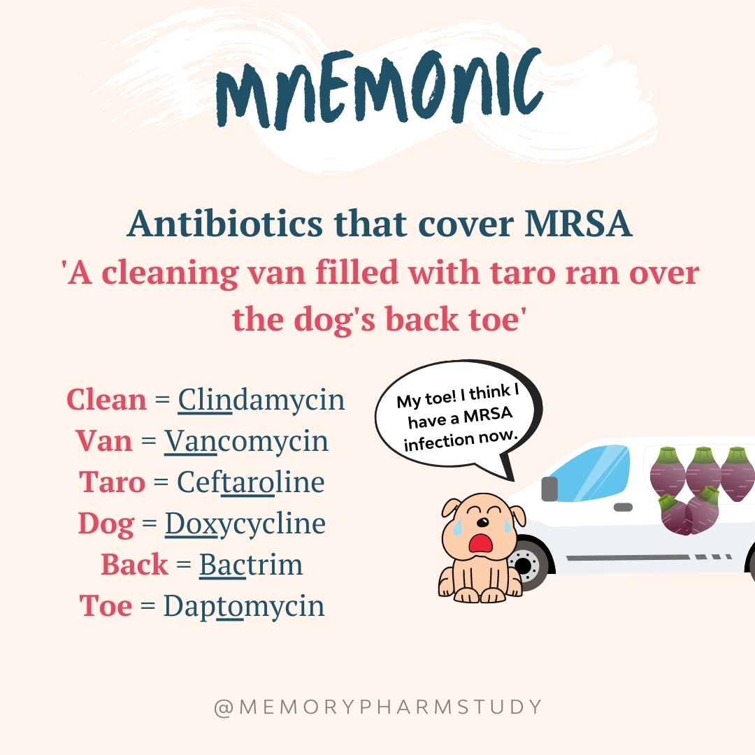 Top Antibiotic Coverage Mnemonics Memory Pharm
