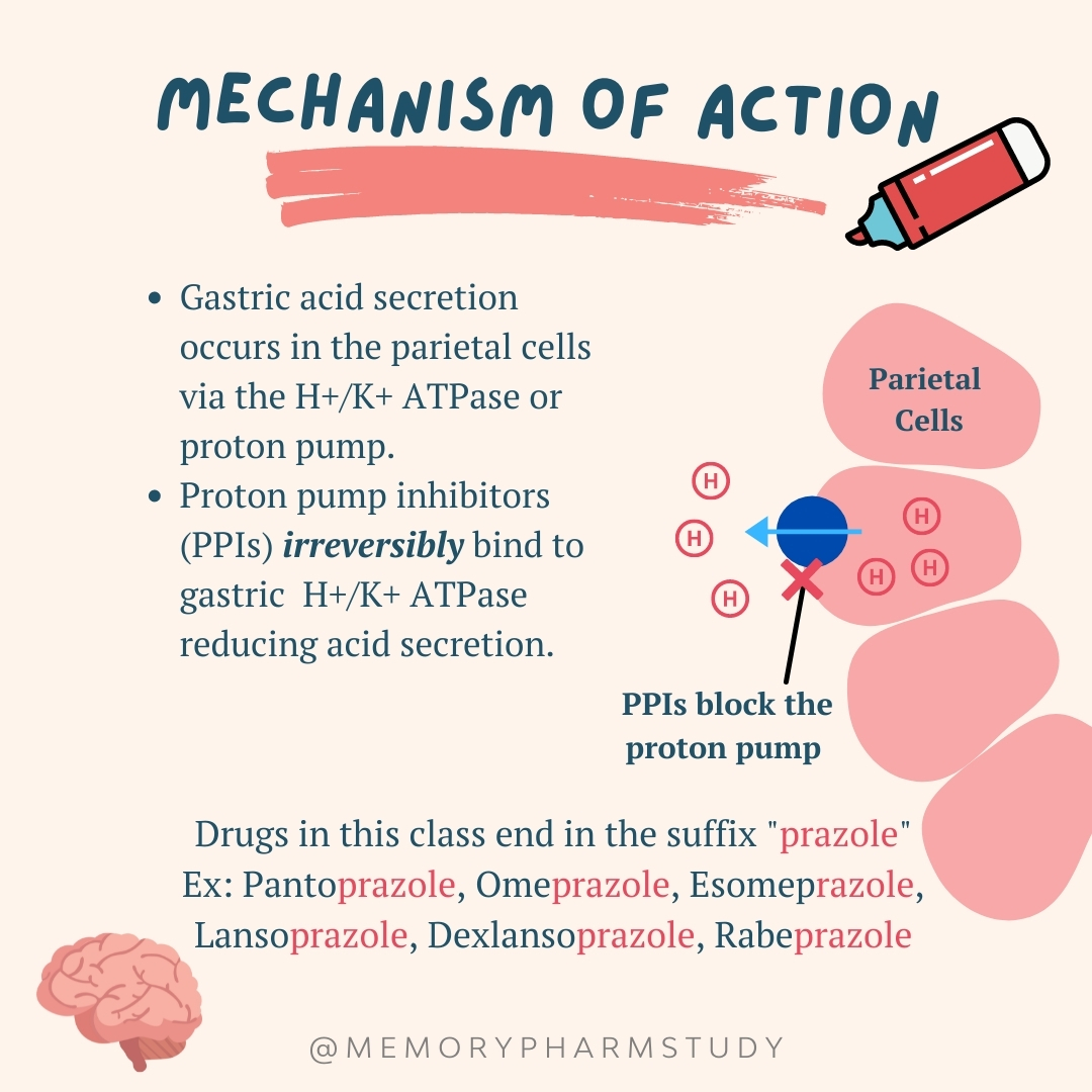 Proton Pump Inhibitors Memory Pharm